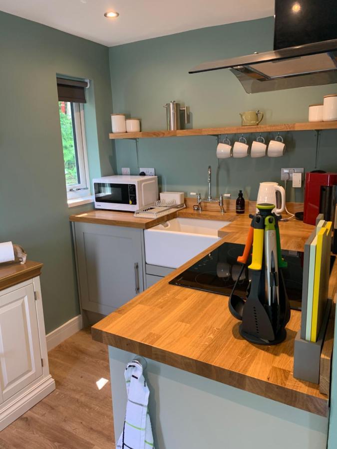 Alt-An Retreat Lodge Overlooking Loch Linnhe فورت ويليام المظهر الخارجي الصورة